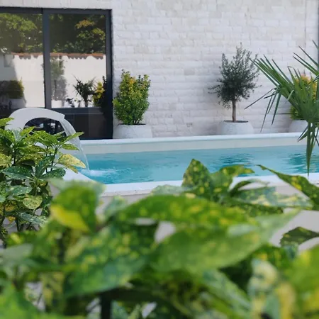 Pool Resort- Lena Lux 7 I 8 아파트 *